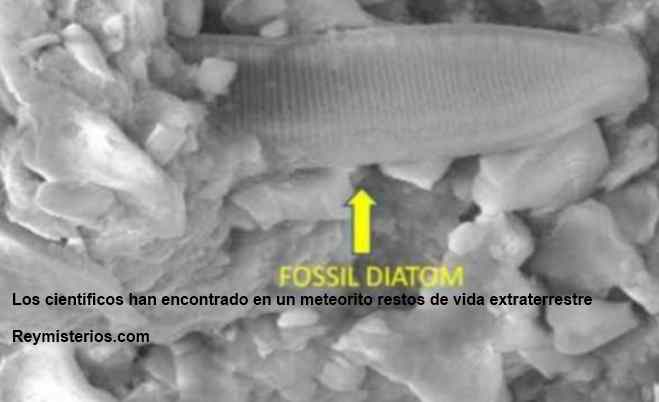 meteorito restos vida extraterrestre 2013
