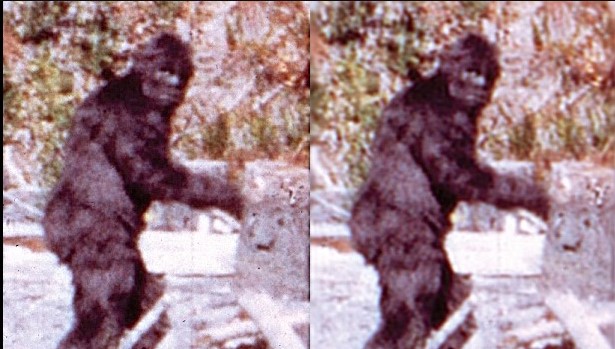 Imagen de bigfoot en 1967, cuando Roger Patterson y Bob Gimlin lo grabaron