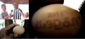 Brasil-gallina-pone-huevo-con-numeros-y-simbolos-raros.jpg