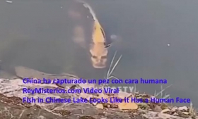 China-ha-capturado-un-pez-con-cara-humana.jpg