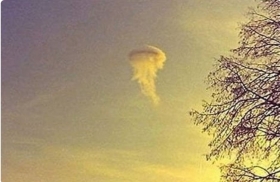 medusas-OVNI.jpg