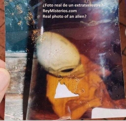 Antigua-foto-de-un-extraterrestre.jpg