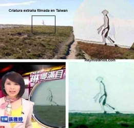 Criatura-extrana.jpg