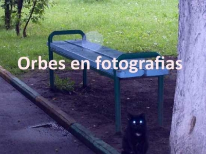 orbes-en-fotografias.jpg