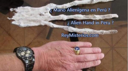 Mano-Alienigena-Peru.jpg