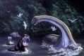 mokele-mbembe.jpg