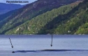 Monstruo-del-lago-ness.jpg