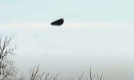 testigo-objeto-michigan.jpg