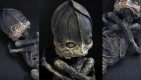Alien-Alyoshenka.jpg