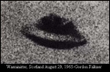Ovni-Warminster-50-Aniversario-2015.jpg