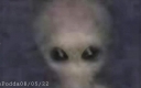 imagenes-de-sus-captores-extraterrestres3.jpg