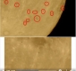numerosos-OVNIS-volando-cerca-de-la-Luna.jpg