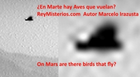 En-Marte-hay-Aves-que-vuelan.jpg