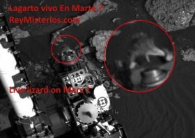 Lagarto-vivo-En-Marte.jpg