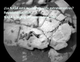 NASA-esta-ocultando-vida-extraterrestres.jpg
