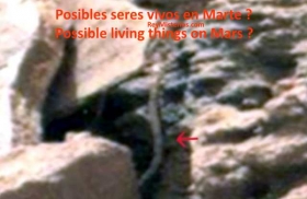 Posibles-seres-vivos-en-Marte.jpg