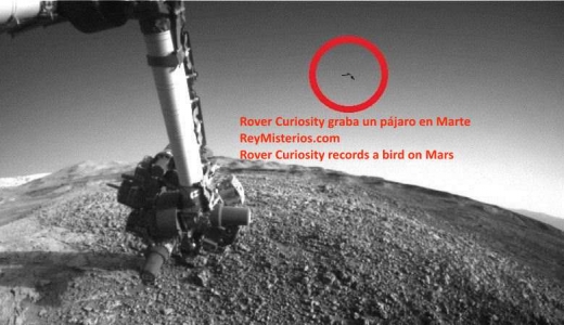 Rover-Curiosity-graba-un-pajaro-Marte.jpg