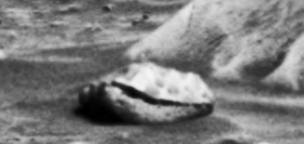 descubierto-el-fosil-de-un-molusco-antiguo-en-Marte2.jpg