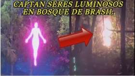 ente-luminoso-en-un-bosque-de-Brasil.jpg