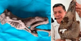 Cientifico-mexicano-descubre-momia-extraterrestre.jpg