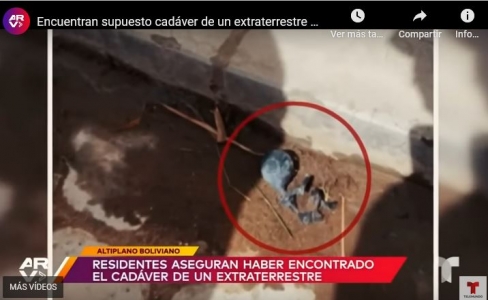 Bolivia-hallaron-diminuto-cadaver-de-extraterrestre.jpg