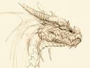 Dragones